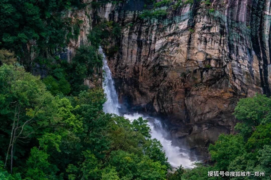 奥利维亚药店