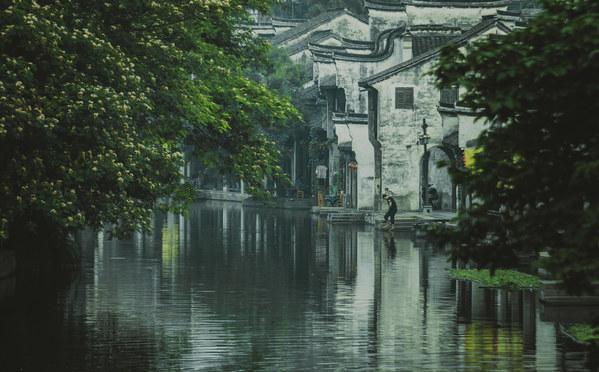 栀子花是孝花吗？游戏画面