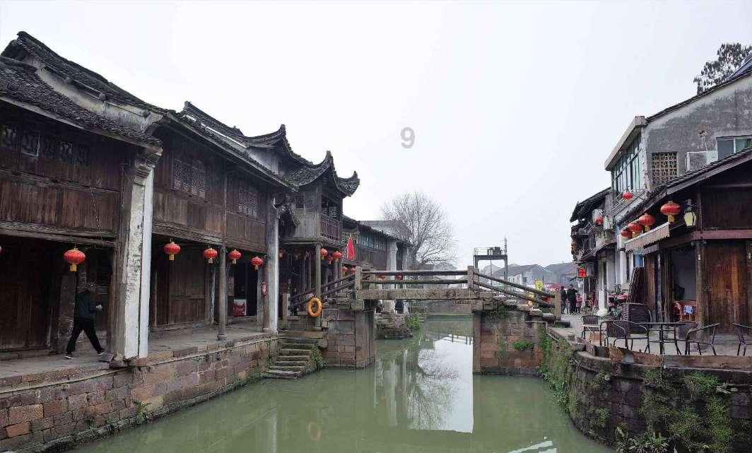 逃离马儿森林